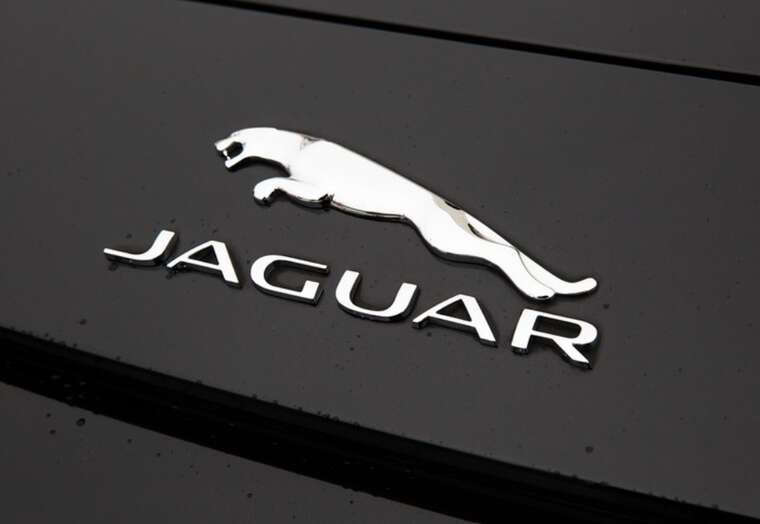 Jaguar за 1,27 мільйона гривень, квартира тещі за 5 мільйонів і бізнес дружини на 10,4 мільйона: що відомо про статки митника Корчаки